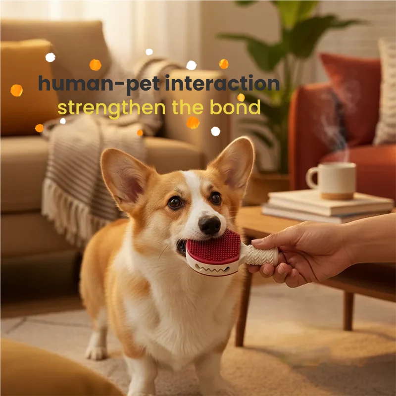 Badminton Shape Rubber Dog Che - đánh giá và giá Badminton Xxl